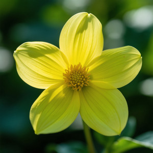 mariana salawasta - Stronger in the Light