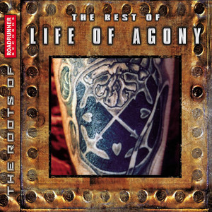 Ugly - Album by Life Of Agony | Spotify