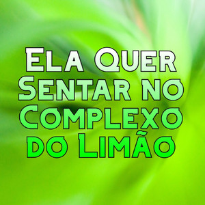 DJ DIEGO MAXIMO & DJ GL de Cabo Frio - Ela Quer Sentar no Complexo do Limão