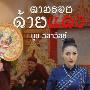 ตามรอยด้ายแดง by นุช วิลาวัลย์