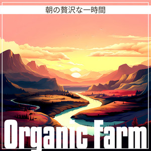 朝の贅沢な一時間