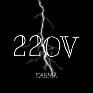 Обкладинка: 220v