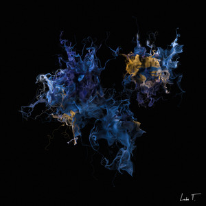 Uncoded by Aalson, Polygraph