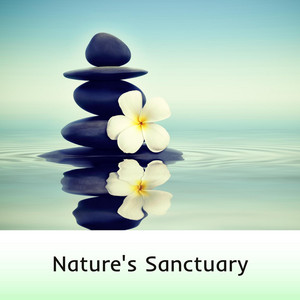 Violet Fields by Metaphysical Sound Therapy