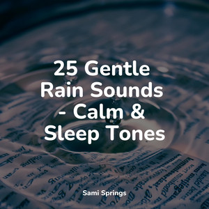 25 Gentle Rain Sounds - Calm & Sleep Tones album