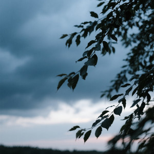 TY REES JEROME CLARK JR - Not Top Five Tonight