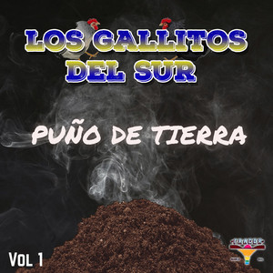 Los Gallitos Del Sur - El Ausente