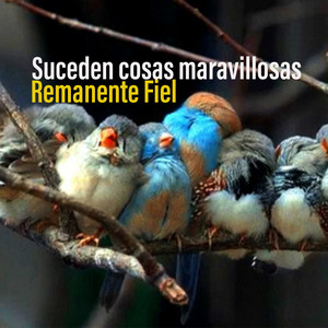Remanente Fiel - Suceden Cosas Maravillosas