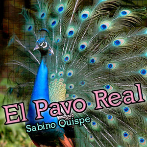 El Pavo Real by Sabino Quispe