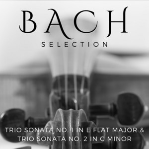 Bach Selection: Trio Sonata No. 1 In E Flat Major & Trio Sonata No. 2 In C Minor