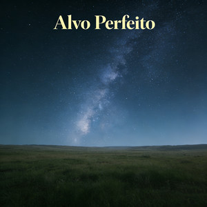 Alvo Perfeito