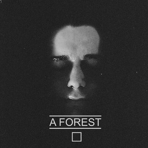 A Square by A Forest