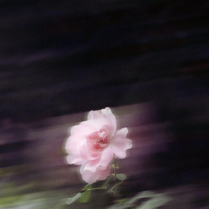 Awaken by Alira Rose