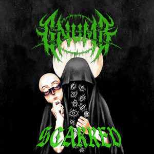 Scarred by GNUMB