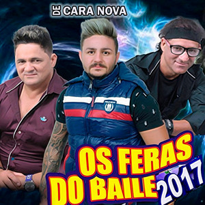 Ela Não Esta Aqui by Os Feras do Baile