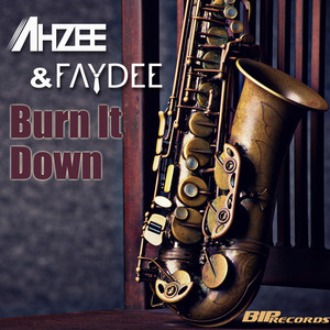 Ahzee & Faydee - Burn It Down (Radio Edit)