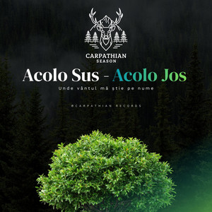 Acolo Sus, Acolo Jos by Carpathian Season