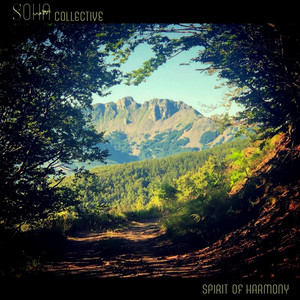 Spirit of Harmony by Soha Collective