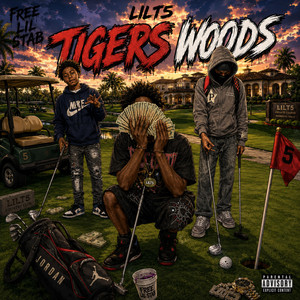 TIGERS WOOD by 2freaks1rob, LilT5, Lilzay