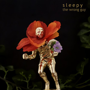 The Wrong Guy by Sleepy