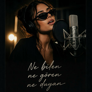 Ne Bilen Ne Gören Ne Duyan by Mehmet Demir
