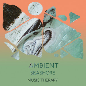 zZz Ambient Seashore Music Therapy zZz album