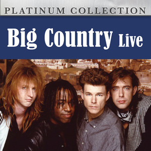 HITS　　ビッグ・カントリー LIVE BIG COUNTRY