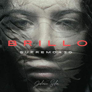 BRILLO by SUPREMO 420
