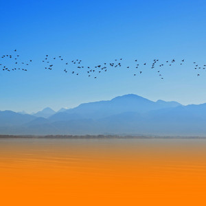 Healing Meditation Music For Emotional Balance And Mindfulness