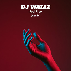 Feel Free - Remix by DJ Waliz