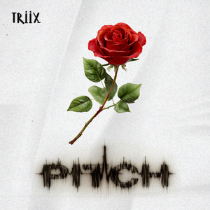 Pitch by Triix