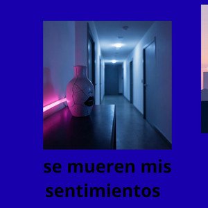 se nuereb mis sentimientos by POCALABIA