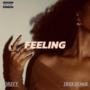 Feeling (feat. Triix Homie)