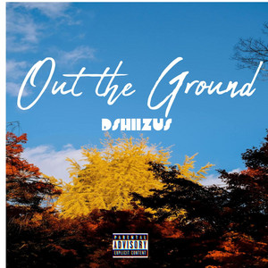 DSHIIZUS - OUT THE GROUND