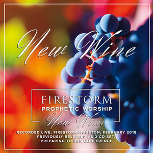 Firestorm Prophetic Worship artist photo