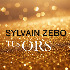 Tes ors by Sylvain Zebo