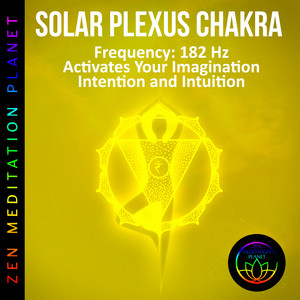 SYSTEM 1.18 その他 DVD SOLAR PLEXUS