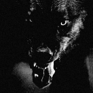 DANDI DG - BIG BAD WOLF
