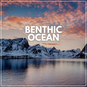 Benthic Ocean album