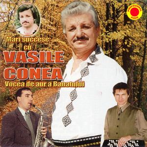 Vasile Conea - Cate Rele-S Pe Pamant