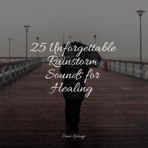 25 Unforgettable Rainstorm Sounds for Healing album