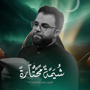 شهم الغراوي - شيمه محتار  الرادود علي الوائلي (موكب غريب الغرباء)