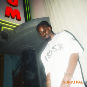 Survival by Nosen