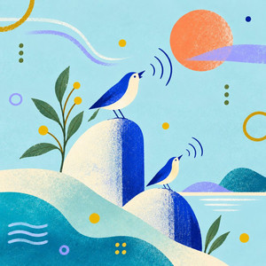 birdsong by skrn