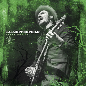 Die In The Cold by T. G. Copperfield