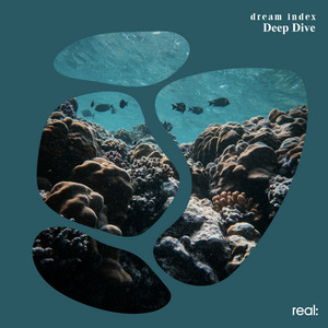 Deep Dive by dream index