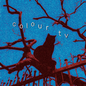 Wake Up, Sleepyhead by Colour TV
