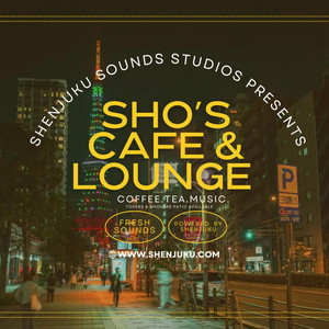 Shenjuku Sounds - Street Fighter