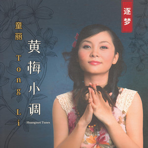 童丽Tong Li | Spotify