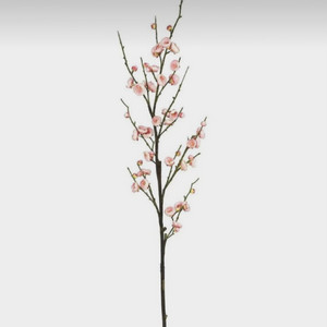 jayytharula - Flower Bomb (feat. Boofpaxkpreme)